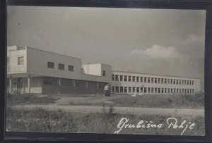 Fotografija 1