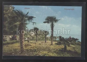 Fotografija 1