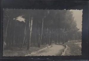 Fotografija 1