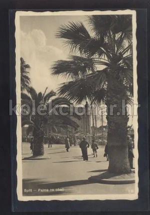 Fotografija 1