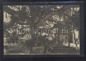Fotografija 1