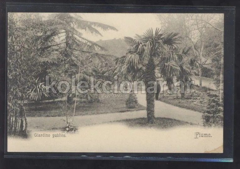 Fotografija proizvoda