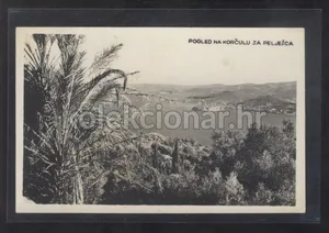 Fotografija 1