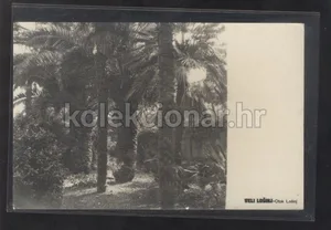 Fotografija 1