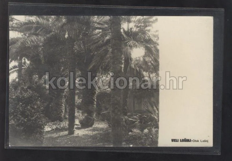 Fotografija proizvoda