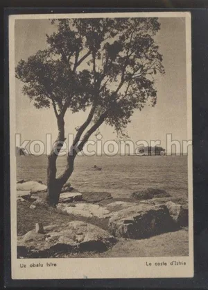 Fotografija 1