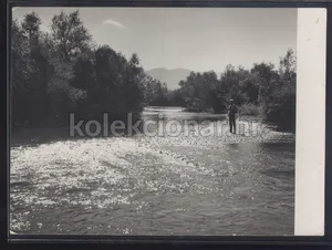 Fotografija 1