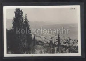 Fotografija 1