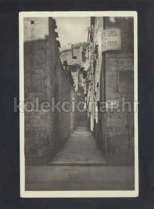 Fotografija 1