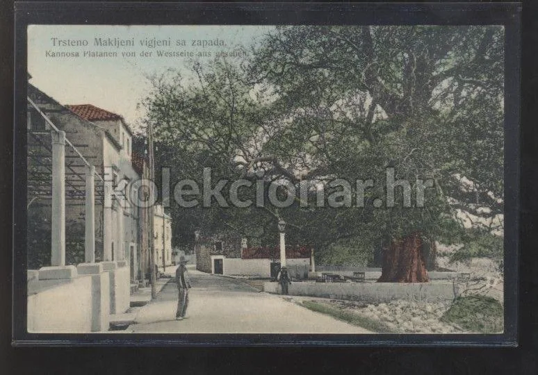 Fotografija proizvoda