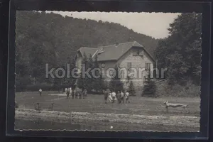 Fotografija 1