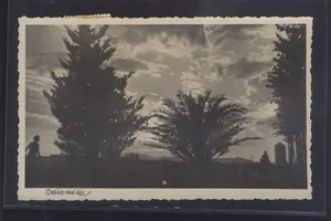 Fotografija 1
