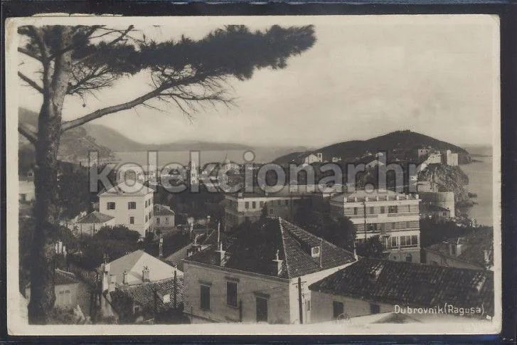 Fotografija proizvoda