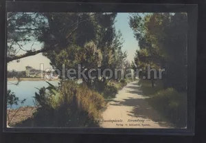 Fotografija 1
