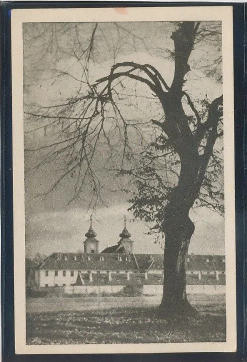 Fotografija proizvoda