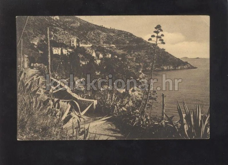 Fotografija proizvoda