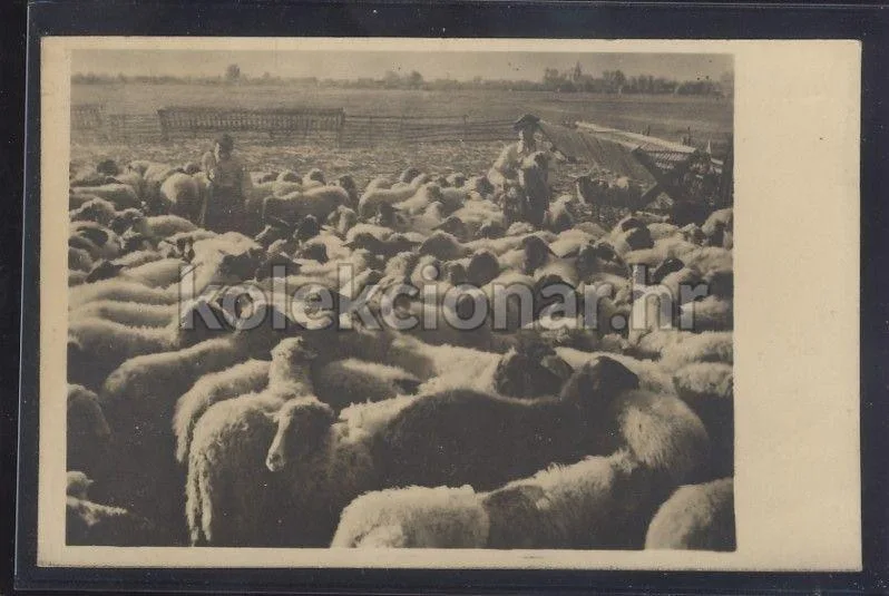 Fotografija proizvoda