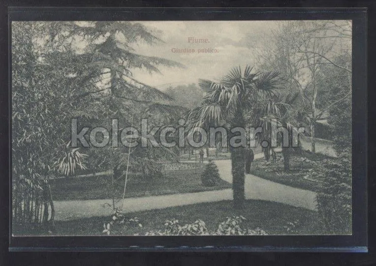 Fotografija proizvoda