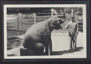Fotografija 1