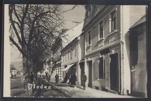 Fotografija 1