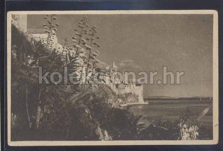 Fotografija proizvoda