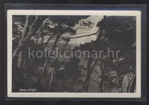 Fotografija 1