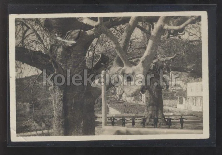 Fotografija proizvoda