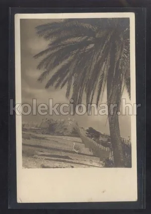 Fotografija 1