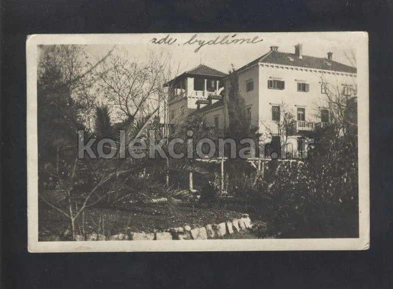 Fotografija proizvoda