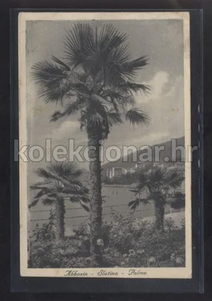 Fotografija 1