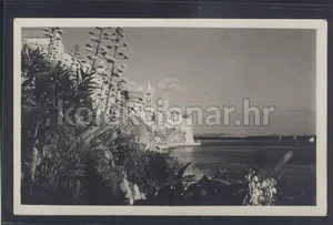 Fotografija 1