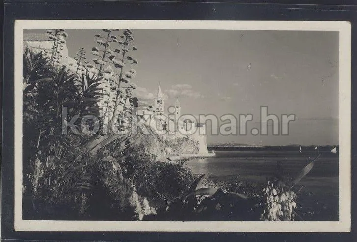 Fotografija proizvoda