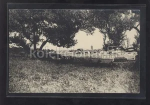 Fotografija 1