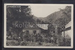 Fotografija 1