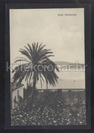 Fotografija 1