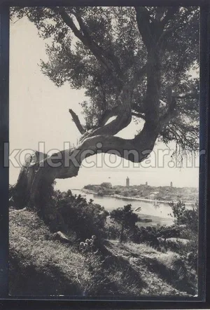 Fotografija 1