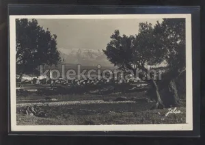 Fotografija 1