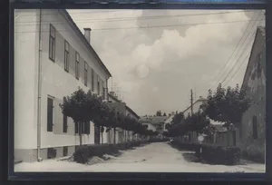 Fotografija 1
