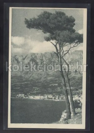 Fotografija 1