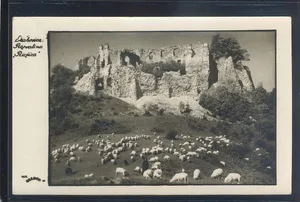 Fotografija 1