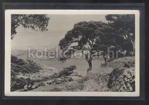 Fotografija 1