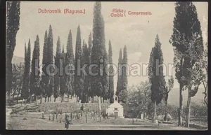 Fotografija 1