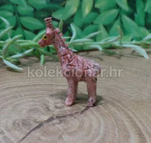 Fotografija 1