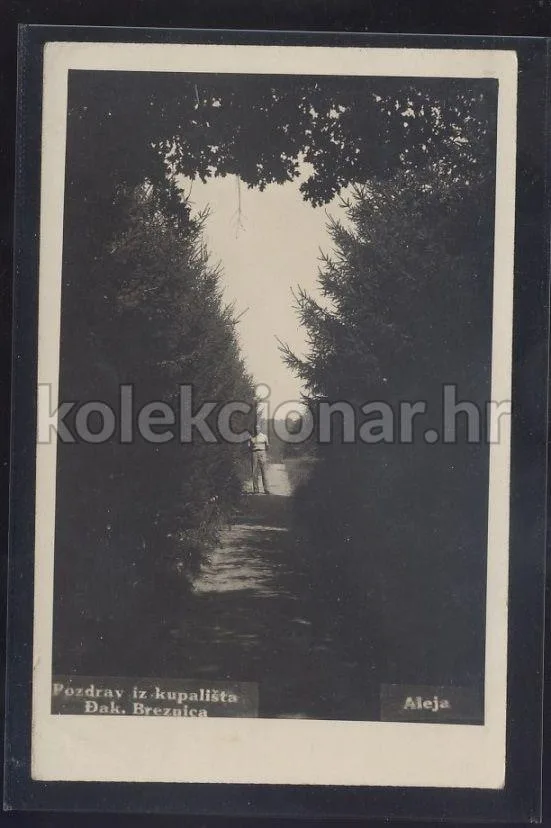 Fotografija proizvoda