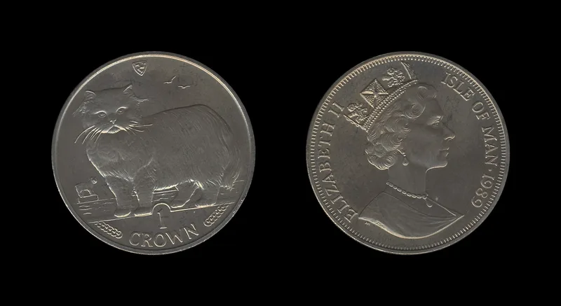 Fotografija proizvoda