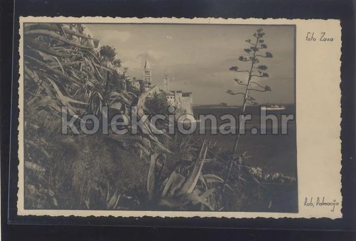 Fotografija proizvoda