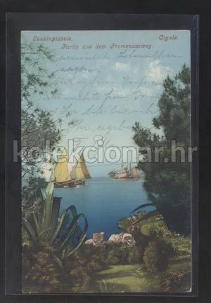 Fotografija 1