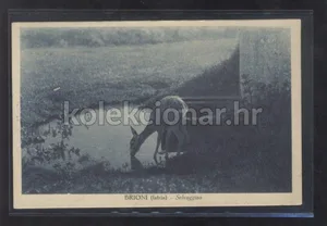 Fotografija 1