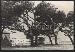 Fotografija 1