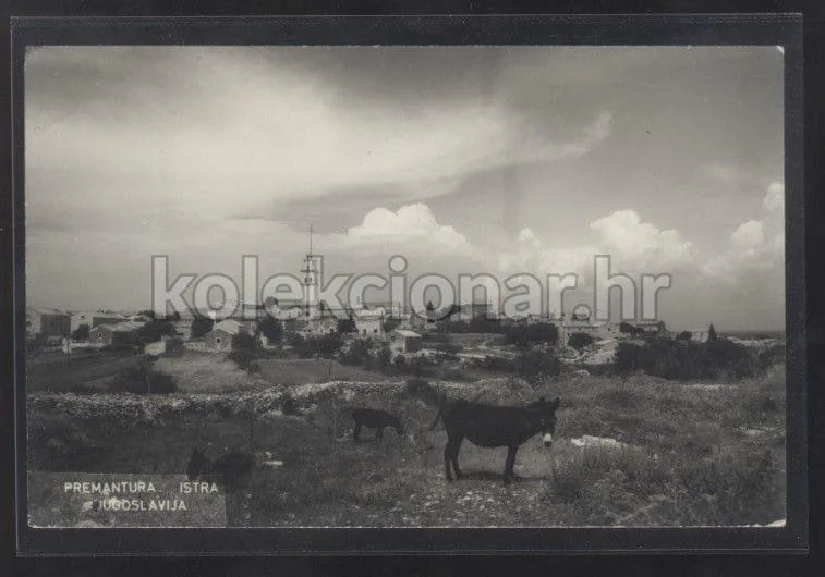 Fotografija proizvoda
